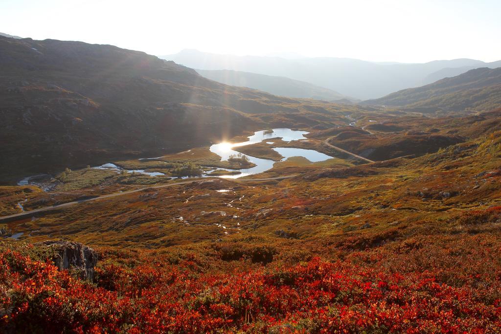 Skysstasjonen Cottages Røldal 외부 사진